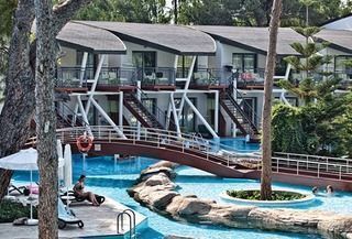 cornelia Einzigartiges Konzept